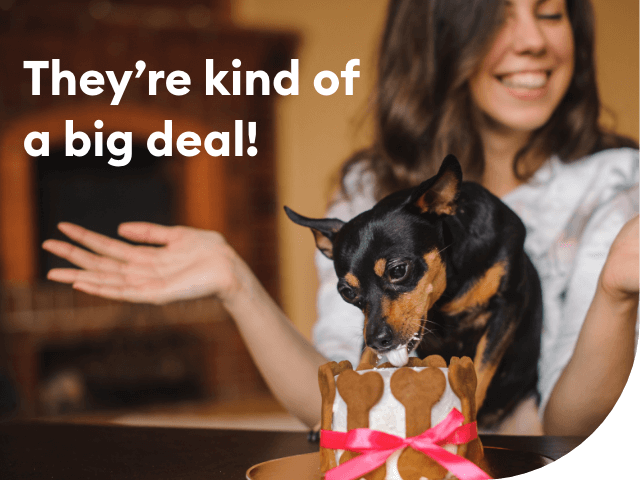 They're kind of a big deal!