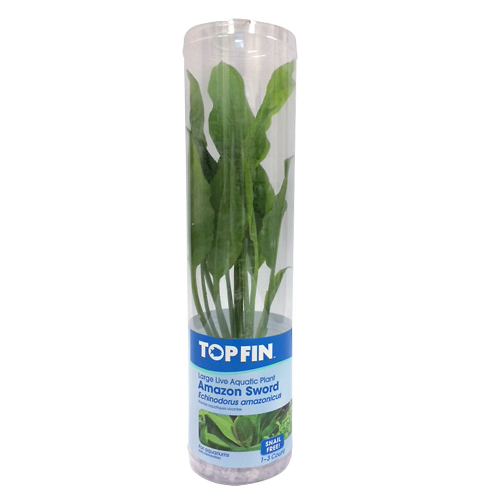 Top Fin® Amazon Sword
