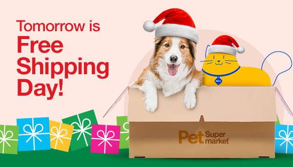 Tomorrow is Free Shipping Day!