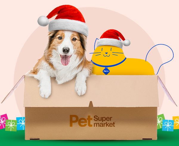 Free Shipping Day