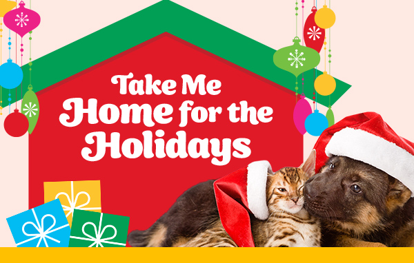 Take me Home for the Holidays