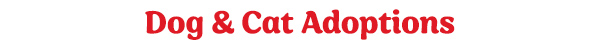 Dog & Cat Adoptions