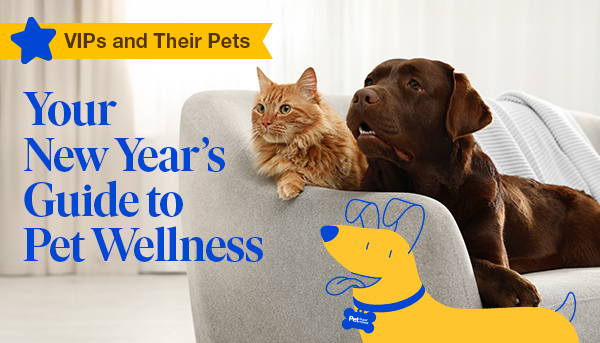 VIPs and Their Pets - The Importance of Hay in your Small Pet's Diet