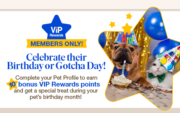 Celebrate their Birthday or Gotcha Day!