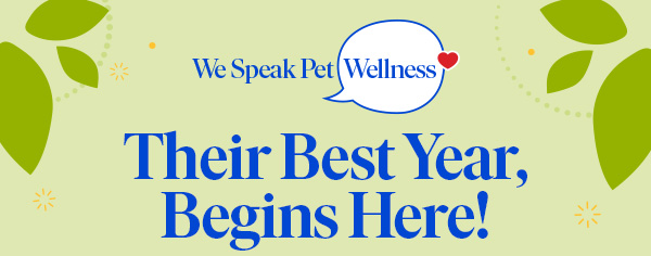 Their Best Year, Begins Here!