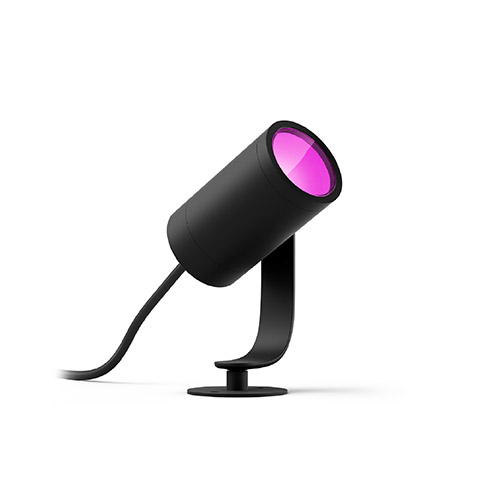Lily spotlight