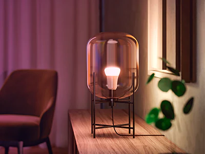 Bulbs