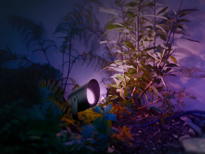 Outdoor lights