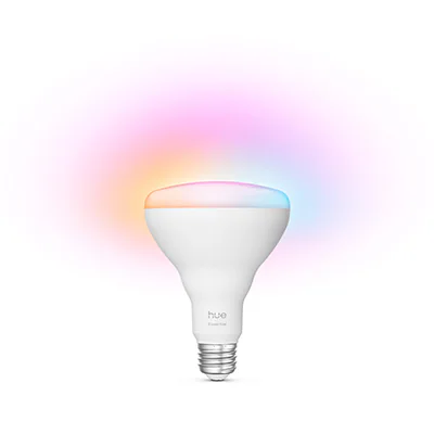 BR30 bulb
