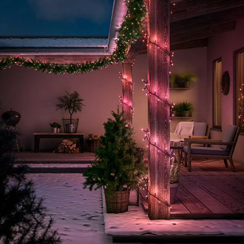 Festavia string lights