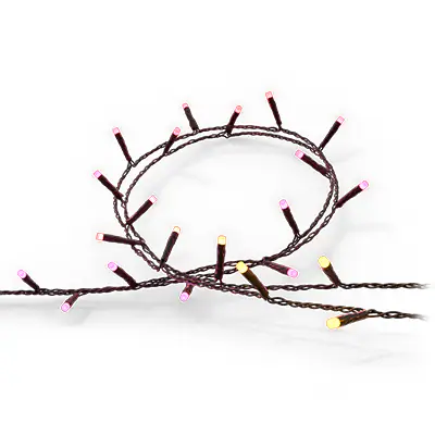 Festavia string lights 