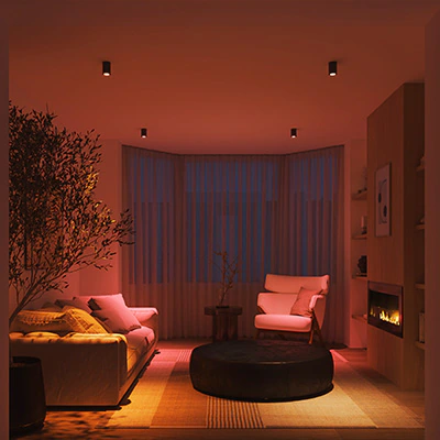 Hue Essential bulbs 