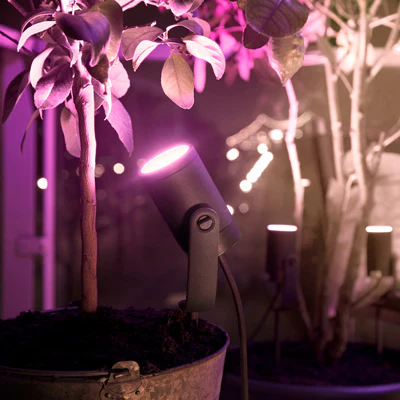 For colorful gardens