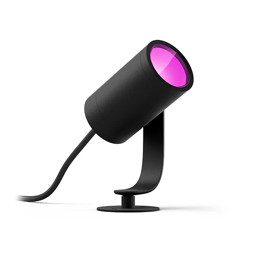 Lily spot light