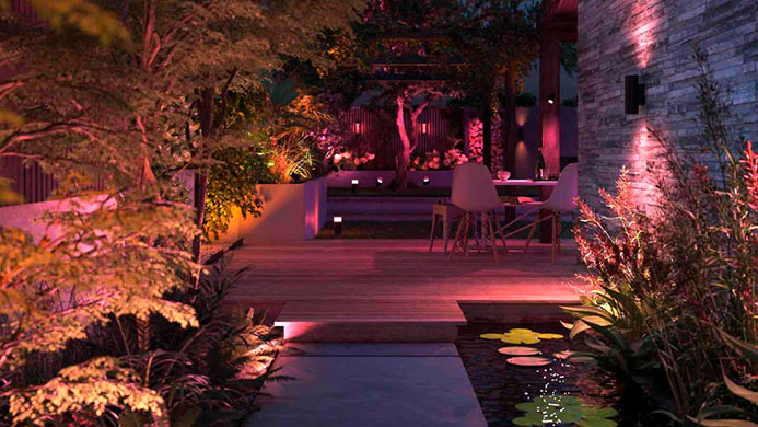 Glowing pathways