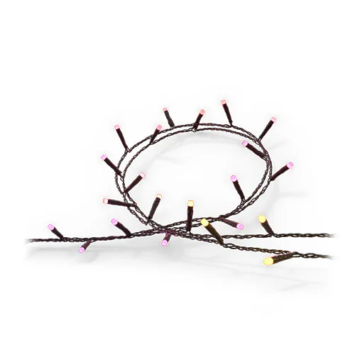 Festavia string lights