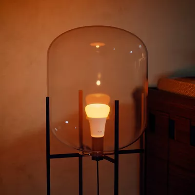Bulbs