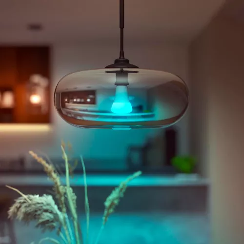 100W A21 White and color smart bulb