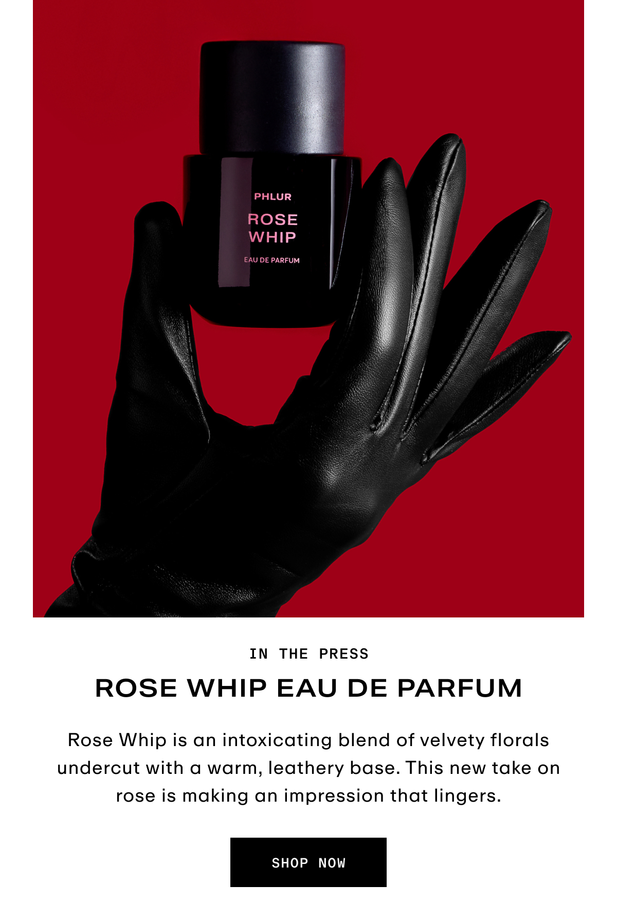 Hero - Rose Whip - In The Press