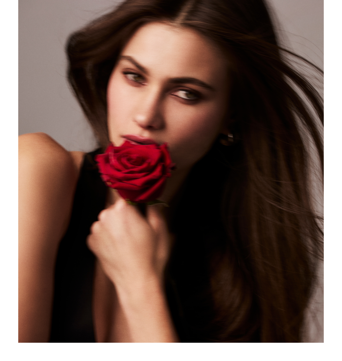 A New Take on Rose