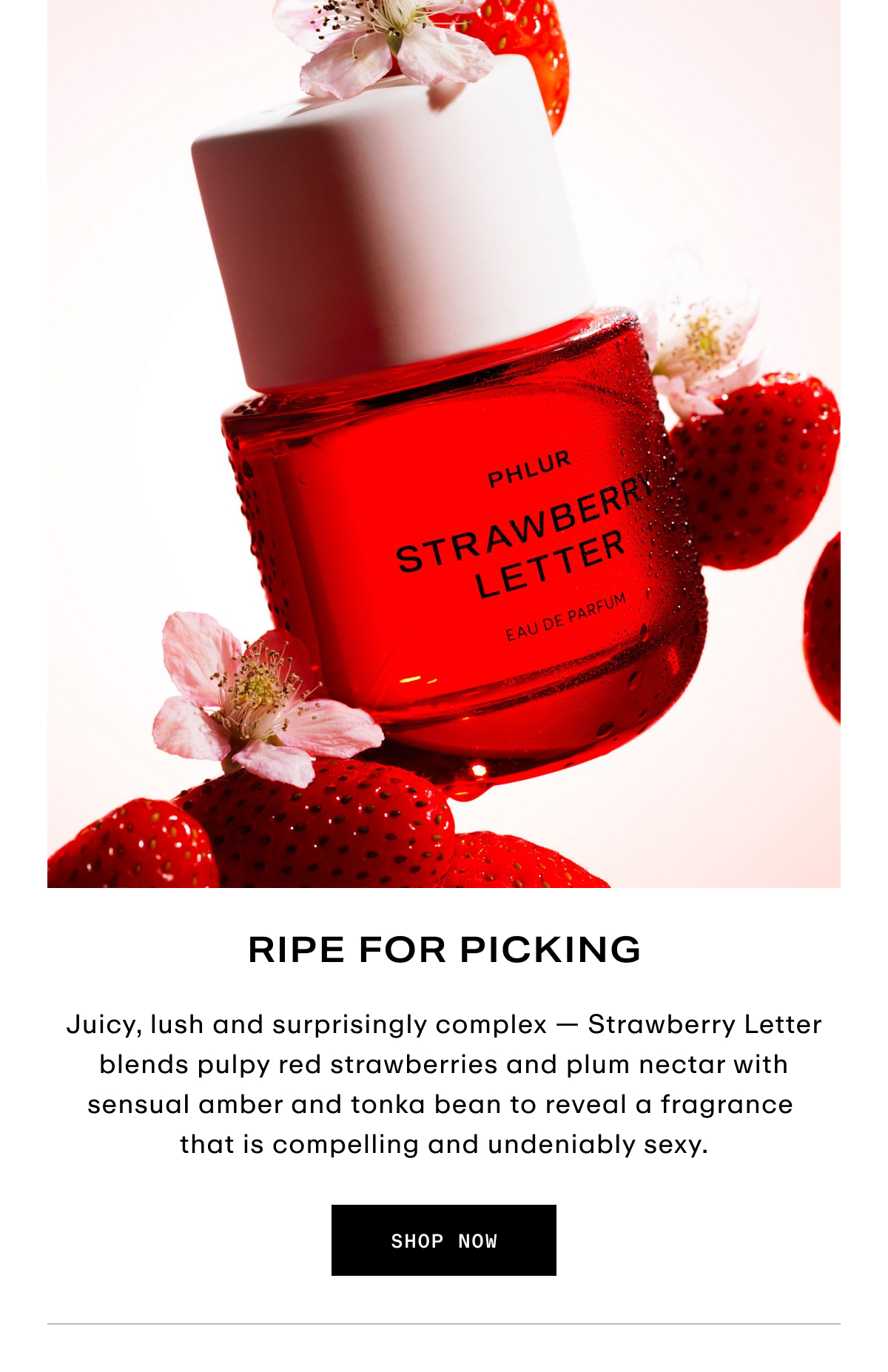Hero - Strawberry Letter - Ripe for Picking