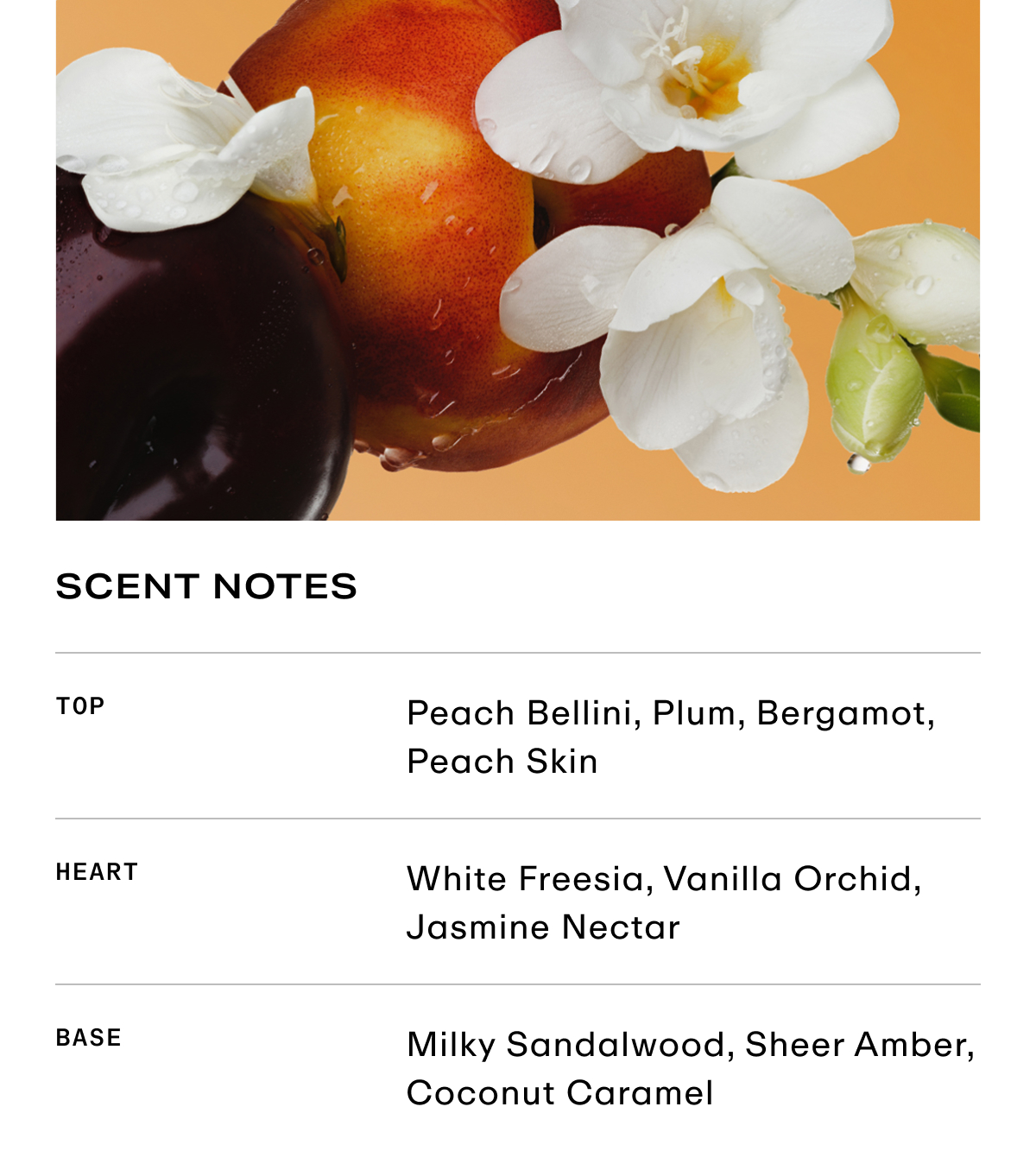 Scent notes