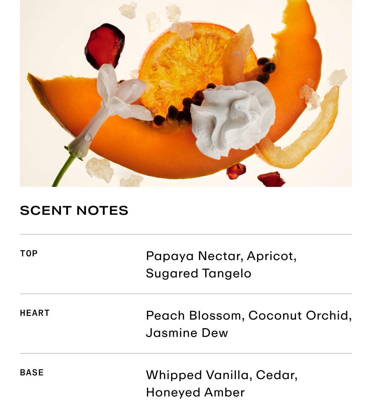 Scent Notes