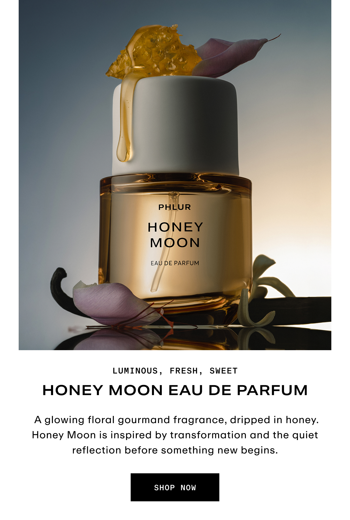 Hero - Honey Moon Eau de Parfum