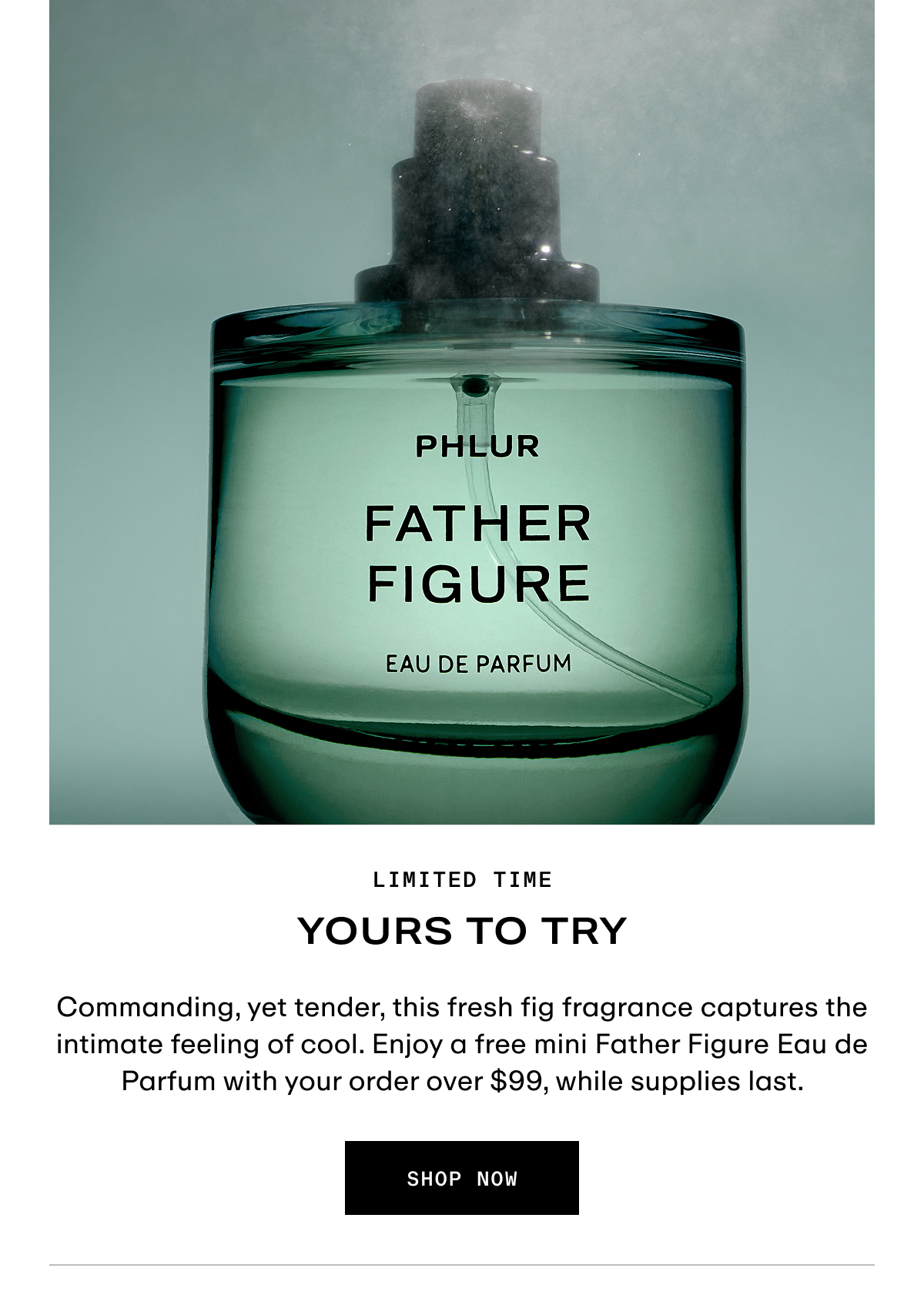 Hero - Free Mini Father Figure On Orders $99+