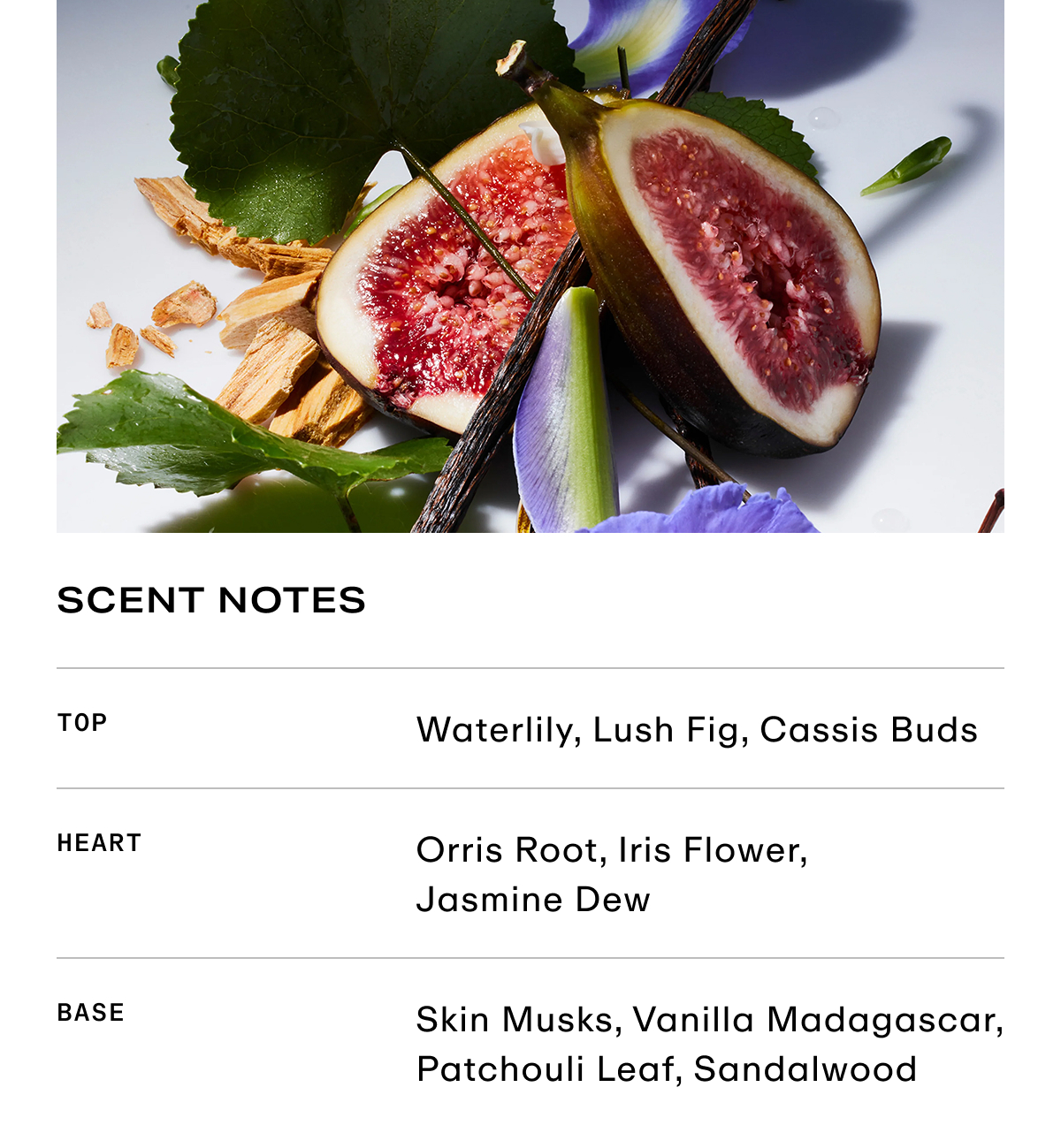 Slice - Scent Notes