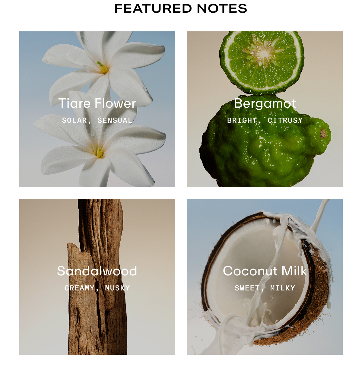 Featured Notes