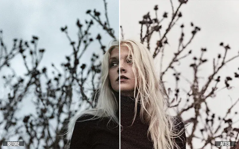 preview of before retouching