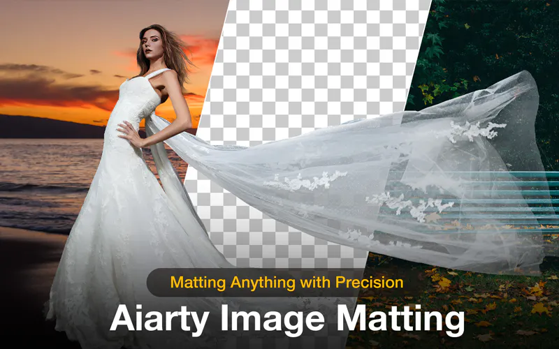 Aiarty Image Matting