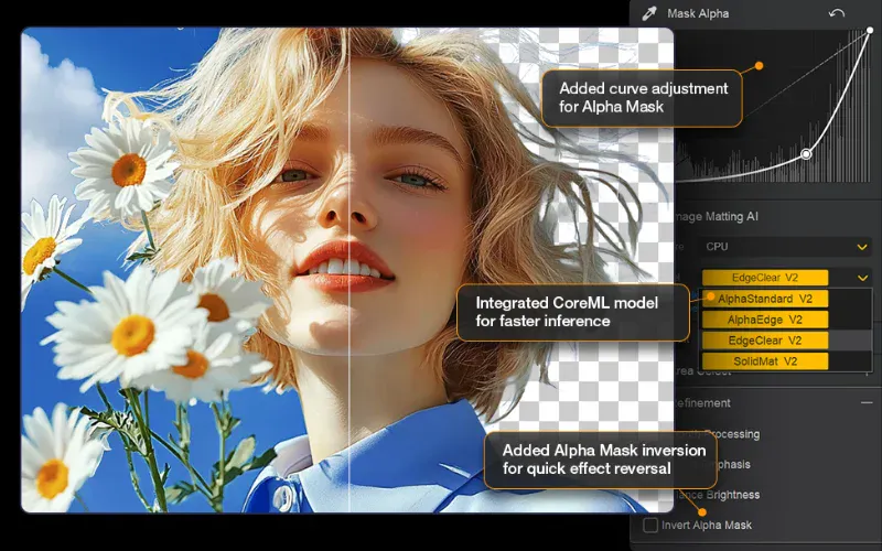Aiarty Image Matting
