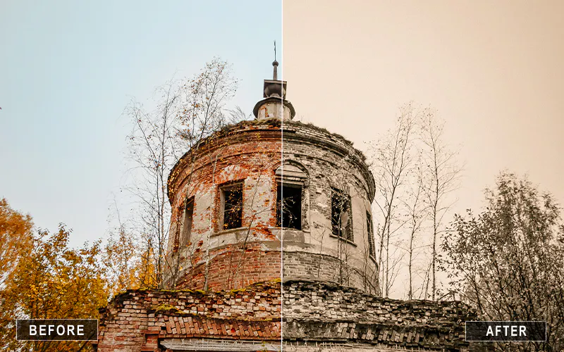 700+ Black and White Camera Raw Presets
