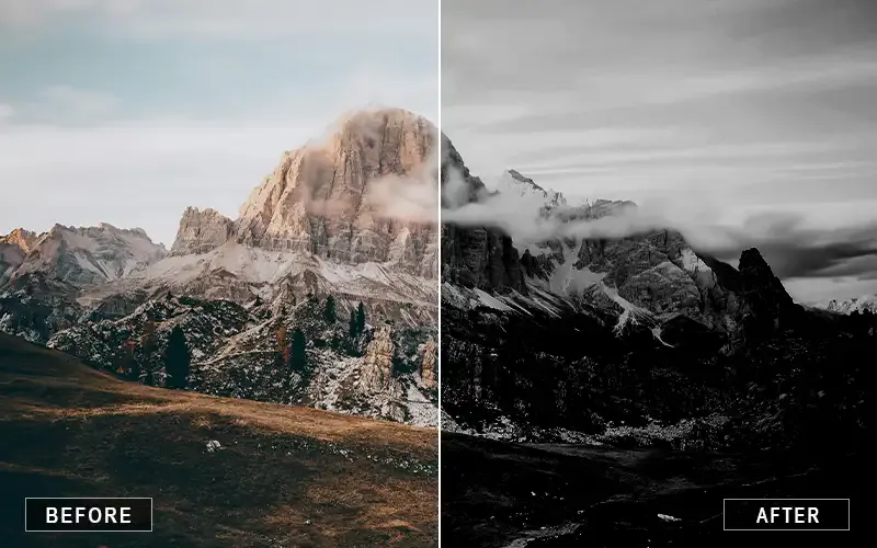 700+ Black and White Camera Raw Presets