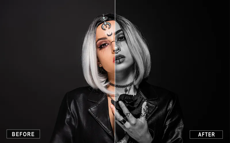 700+ Black and White Camera Raw Presets