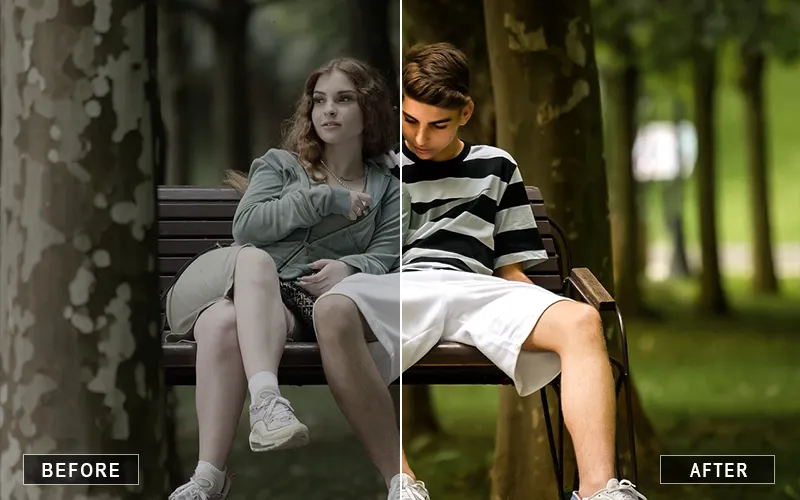 Professional Camera Raw Presets