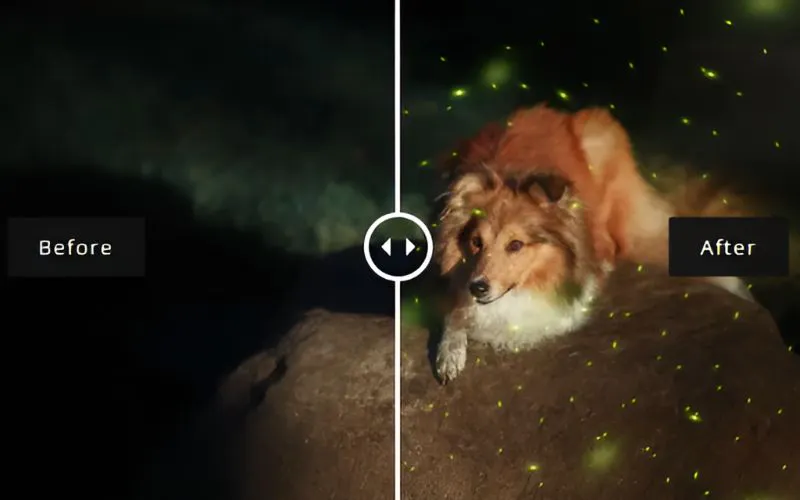 Firefly Photoshop Overlays
