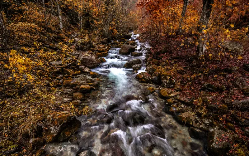 Email Image