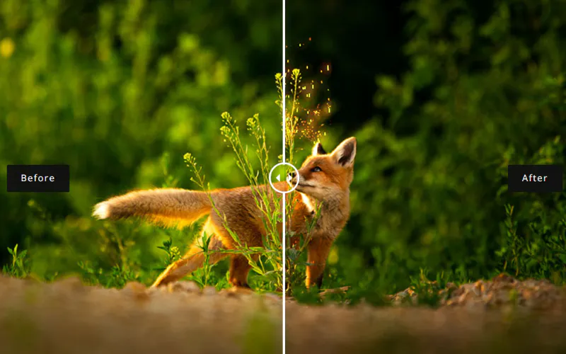 Sparks Overlays