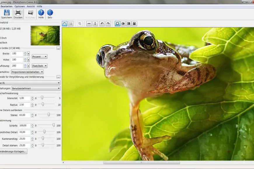 Image Upscaling Software