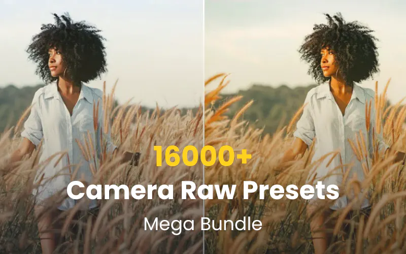Camera Raw Presets Bundle