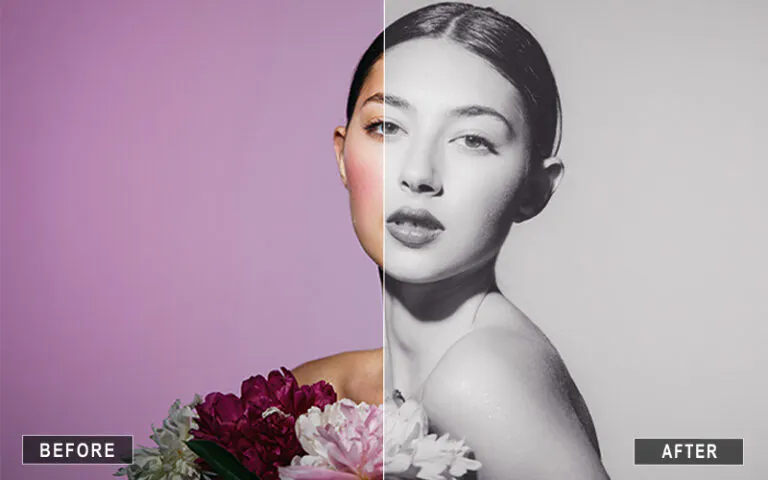 700+ Black and White Camera Raw Presets