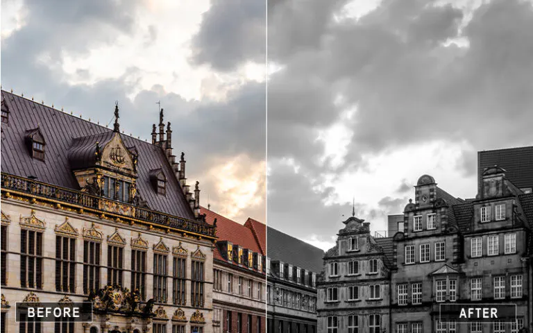 700+ Black and White Camera Raw Presets