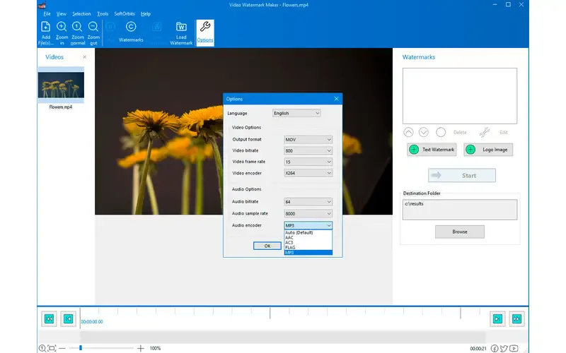 Video Watermark Maker