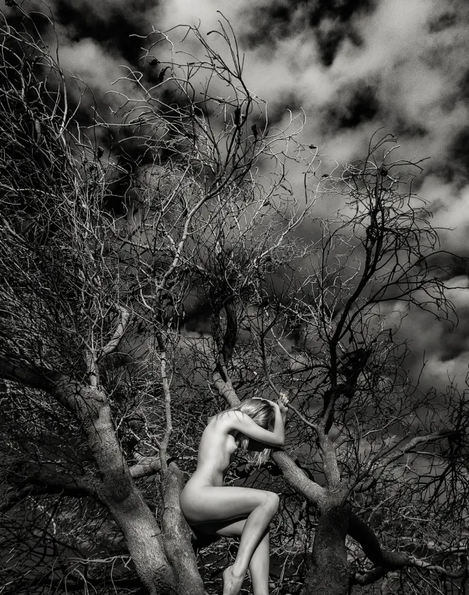 Nude In Nature Photography eBook