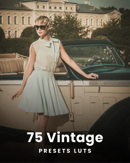 Vintage Presets LUTs