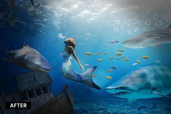 Striking Underwater backdrops bundle