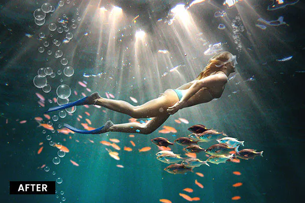 Striking Underwater backdrops bundle